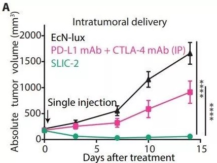 è¿ç¤åç«æ²»ççªç ´ï¼ççèå¹³å°å¯çäº§é¶åPD-L1çº³ç±³æä½