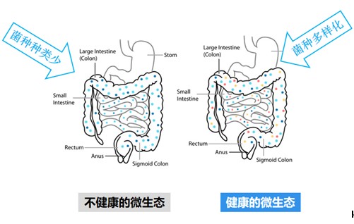 å¤èç§ååèç§ççèåªä¸ªå¥½ï¼